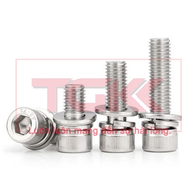 Bulong LGC liền vênh phẳng inox 304 M6