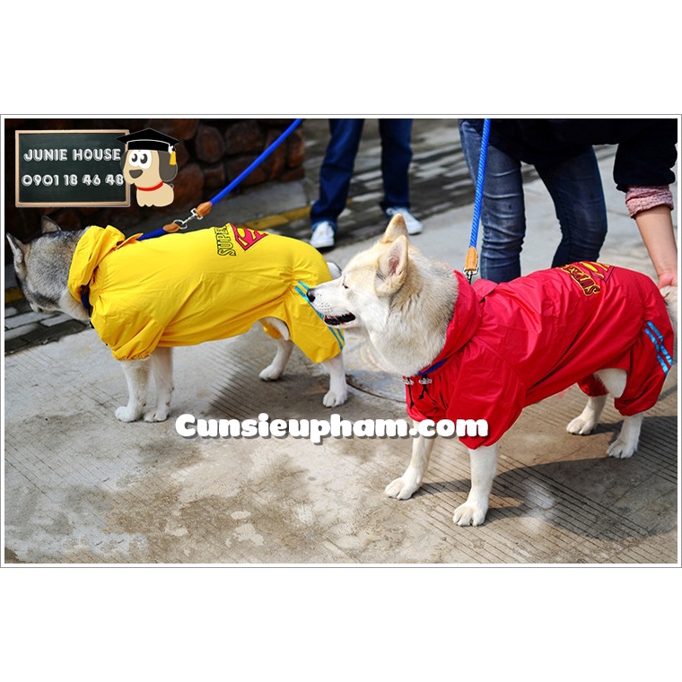 Áo mưa Superman đỏ vàng cho chó lớn