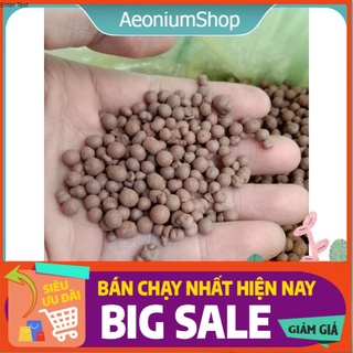 200Gr Hạt Đất Nung Thái Lan Trồng Sen Đá, Xương Rồng 🙄
