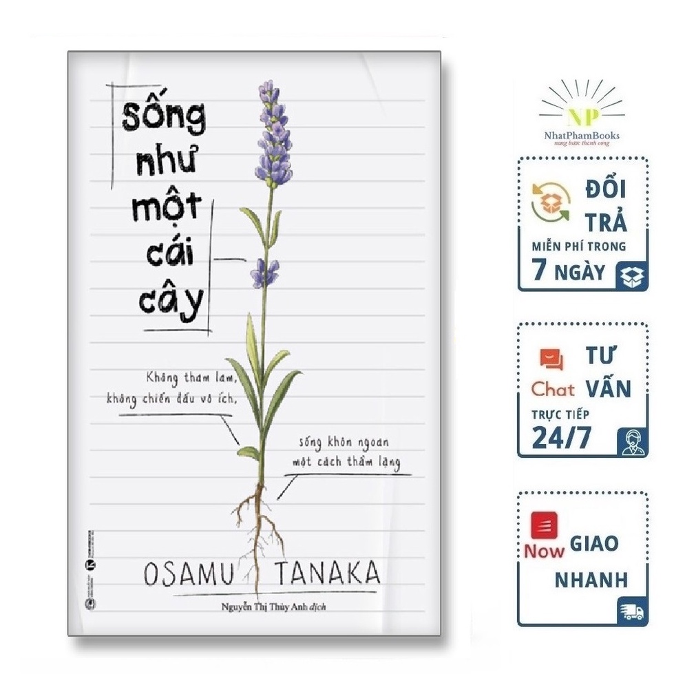 Sách - Sống như một cái cây: Không tham lam, không chiến đấu vô ích, sống khôn ngoan một cách thầm lặng