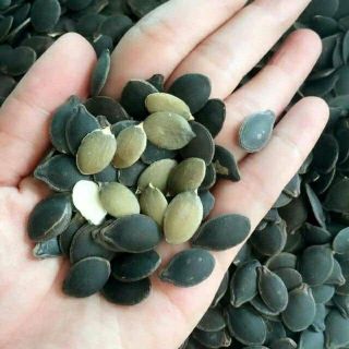 HẠT BÍ MÈO ĐEN rang sẵn(1kg)