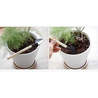 Bộ Cuốc Xẻng Làm Vườn Mini