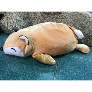 Gấu chó nằm của Thuý An