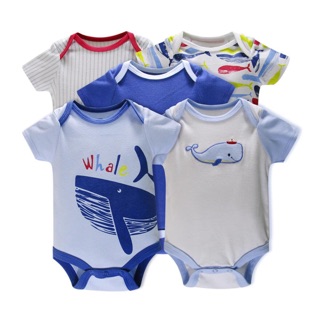 Set 5 body xuất