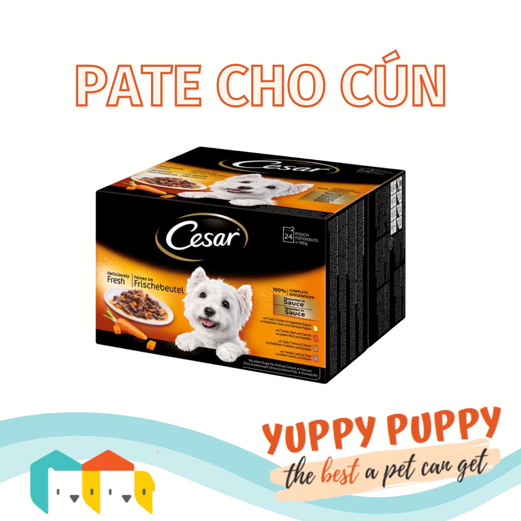 Cesar Pate có sốt cho chó nhỏ 100gr