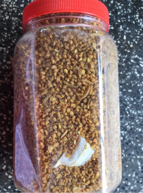 Cám choè than lửa Anh Thông