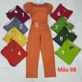 Combo 20 bộ thun cotton mịn