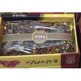 NẤM LINH CHI SỪNG HƯƠU NGẮN HÀN QUỐC