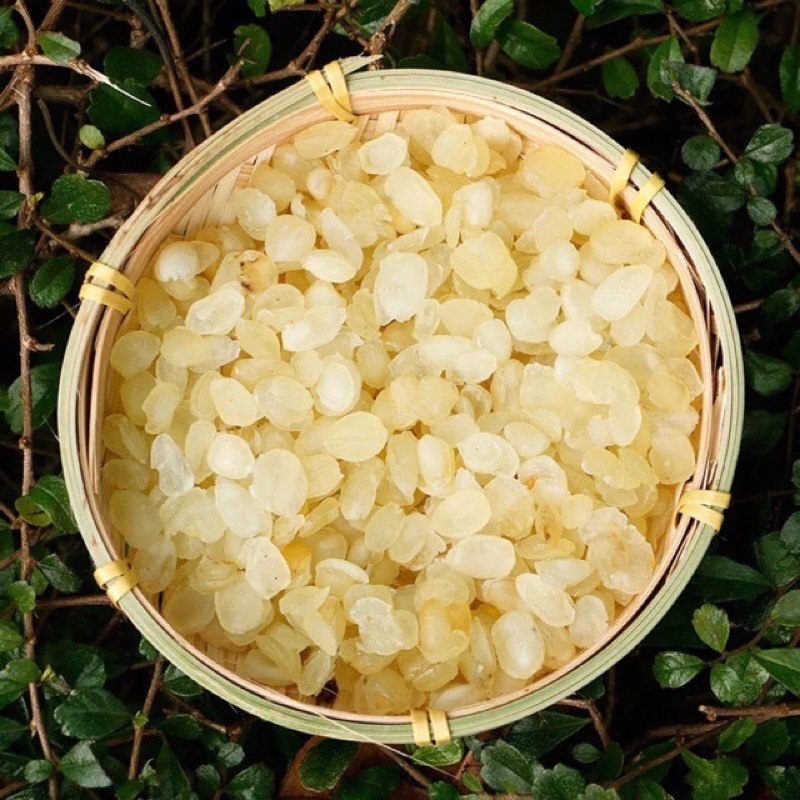 100g bồ mễ kép hay tuyết liên tử
