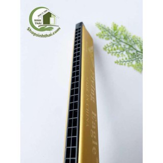 Kèn hamonica 24 lỗ cao cấp màu vàng