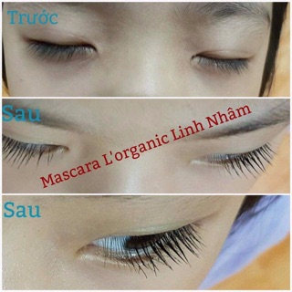 Mascara collagen L'organic Beauty
