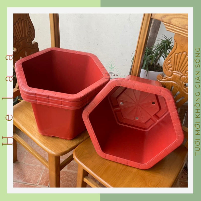 Chậu Nhựa Trồng Cây Lục Giác Đỏ Gạch, Chậu Cây Cảnh To, Trồng Cây Hoa, Tiểu Cảnh, Bonsai Siêu Đẹp Nhiều Kích Cỡ