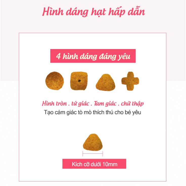 [HSD 22/4/2022] Bánh thưởng cho mèo Gozip Hàn Quốc các vị bò, gà, cá hồi, cá ngừ 60gr