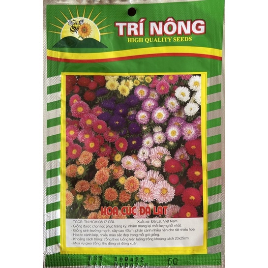 Giống hoa cúc Đà Lạt (Cúc đất) mix đủ màu