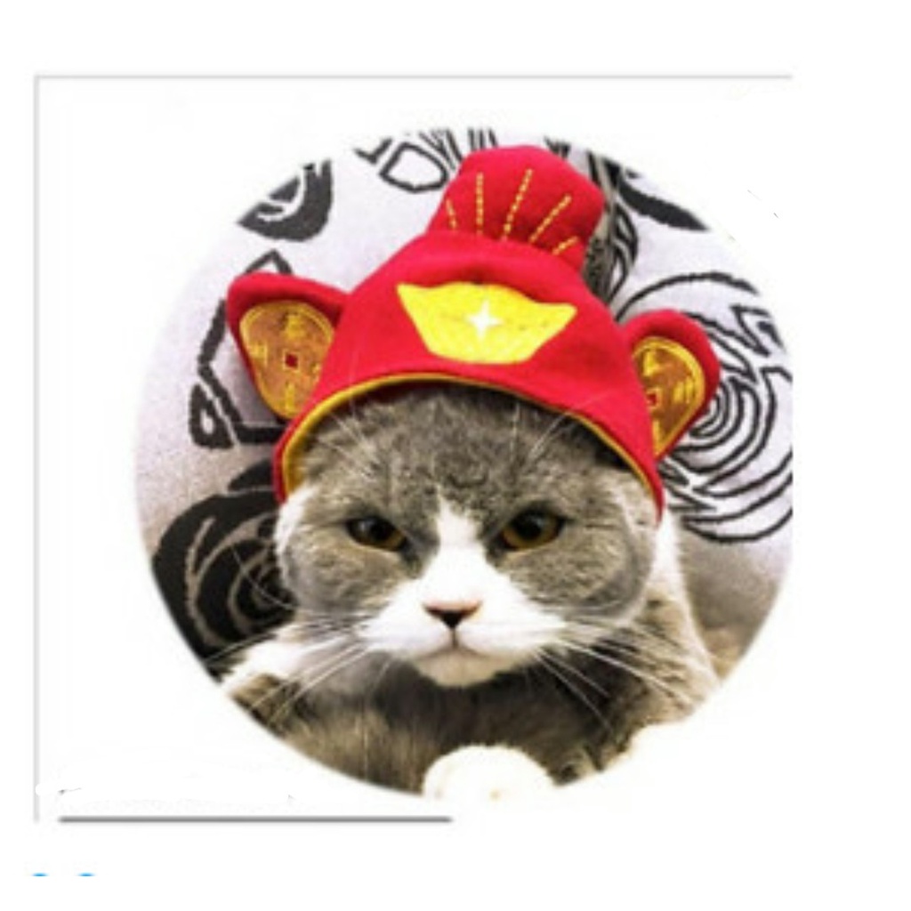 [HCM] Mũ nón kiểu dáng hoạt hình dễ thương dành cho chó mèo, cho thú cưng hóa trang tạo dáng siêu đáng yêu