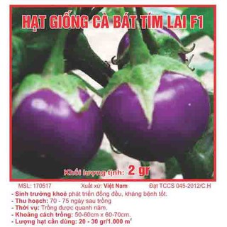 Hạt giống cà bát tím