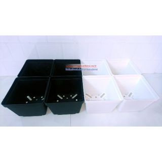 Chậu nhựa vuông 14*14*14 set 10 cái