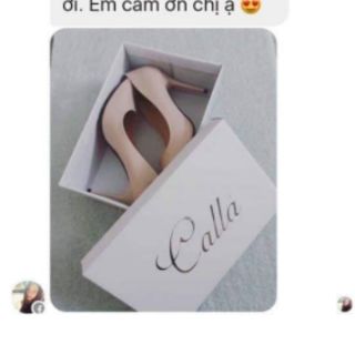 Giày cao gót Calla đế đỏ Nude da bóng 9--10p