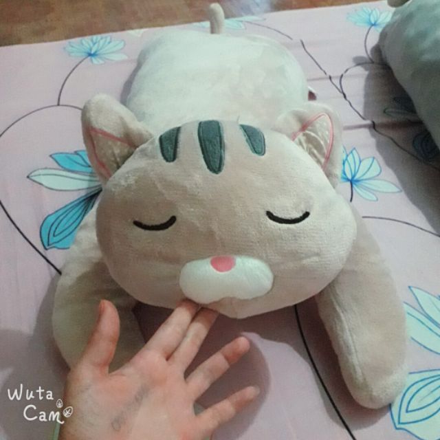 Gấu bông như