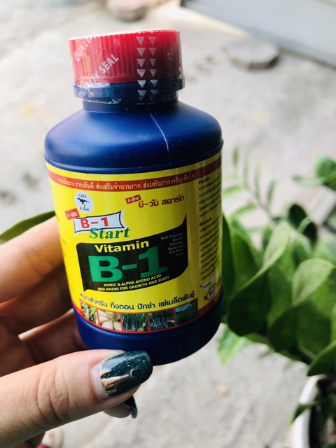 Phân bón lá Vitamin B1 Thái Lan (100ml)