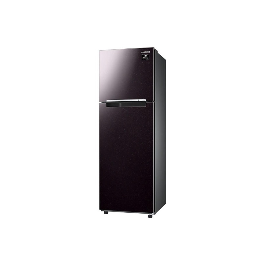 Tủ lạnh Samsung Inverter 256 lít RT25M4032BY [Hàng chính hãng, Miễn phí vận chuyển]