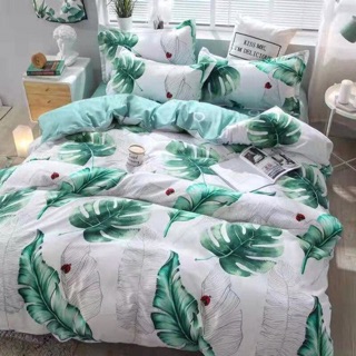 Set Poly cotton nhập khẩu