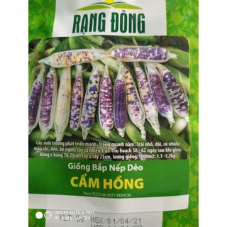 Hạt giống Bắp Nếp Cẩm Hồng 5gr❤️FREESHIP XTRA❤️