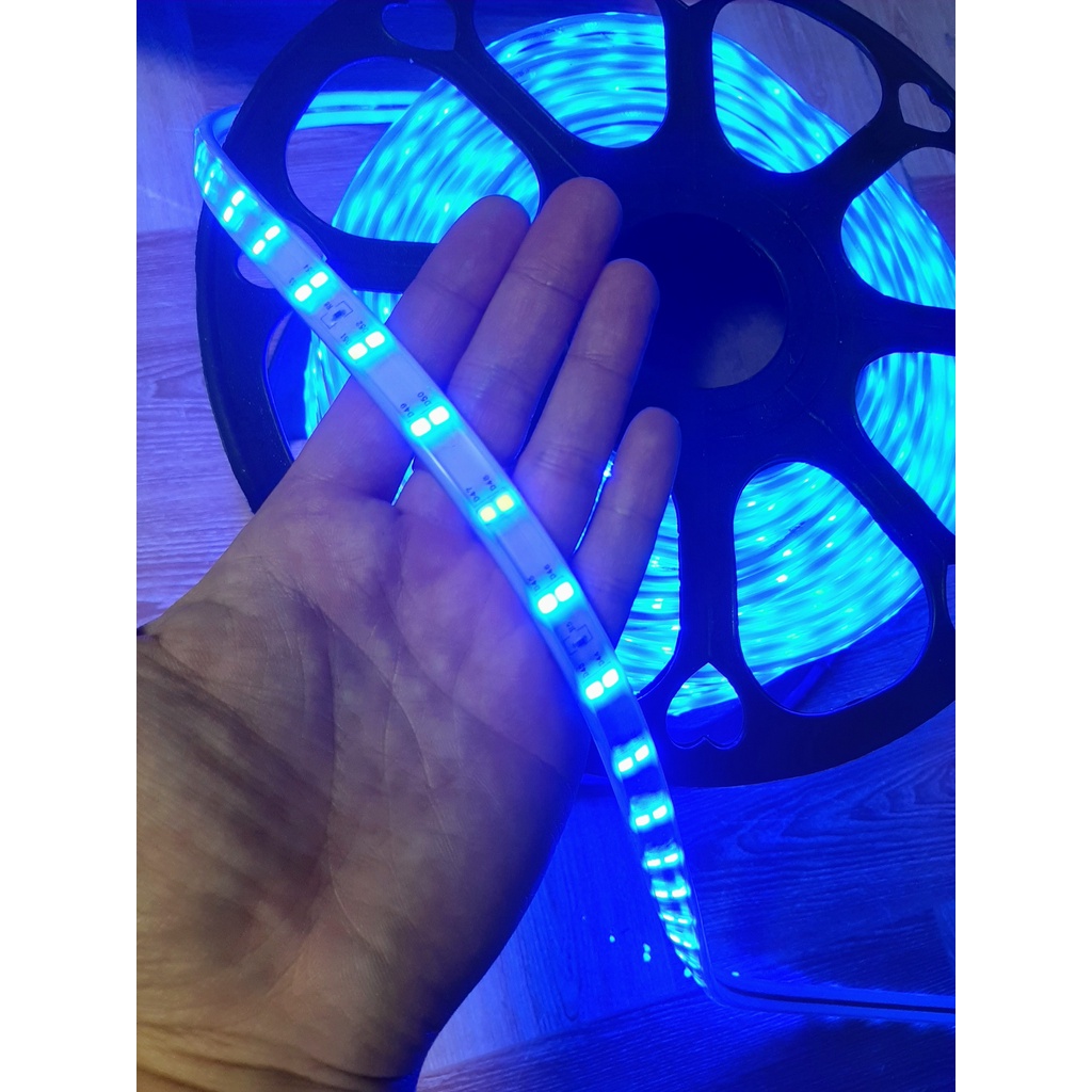 Đèn Led Dây Đôi 2835 Màu Xanh Dương, Led Dây Đôi Trang Trí Hắt Trần Xanh Dương