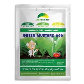 Hạt Giống Cải Bẹ Xanh Mỡ Agriscience Green Mustard 666