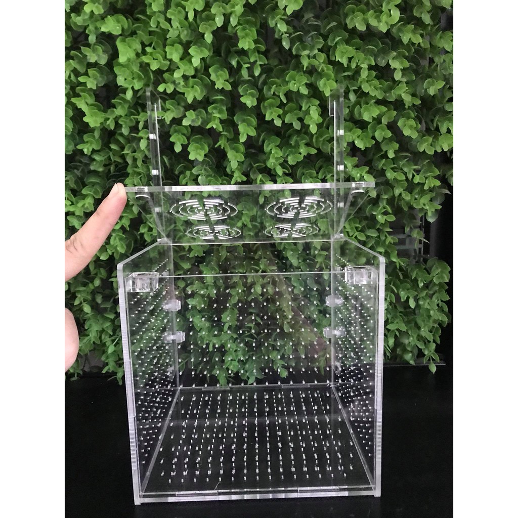 Lồng dưỡng tép, cá/ Lồng tách 15x15x15