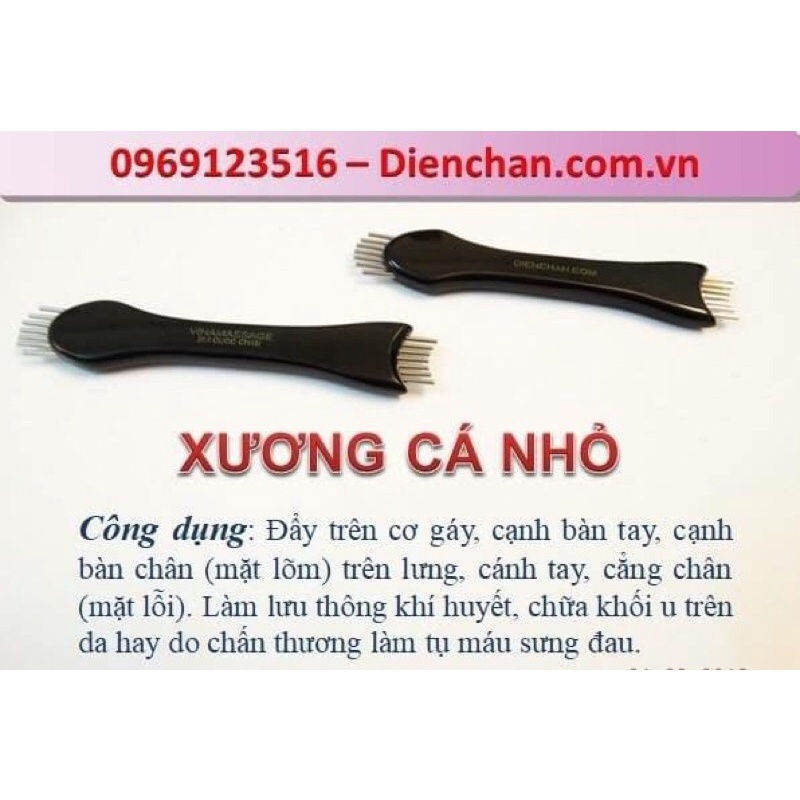 Xương cá nhỏ Diện Chẩn