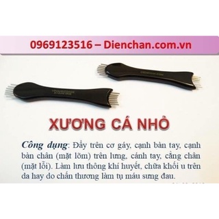 Xương cá nhỏ Diện Chẩn