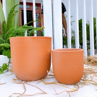 Chậu đất nung trồng cây vân nổi đủ size