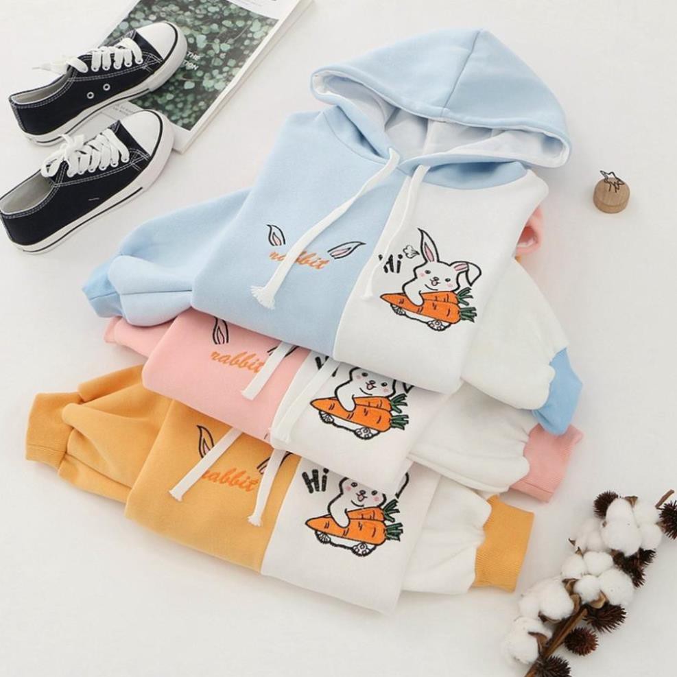 Áo hoodie nữ 🍒FREESHIP🍒 Áo khoác hoodie phối màu cực chất - Áo khoác nỉ chui đầu dễ thương