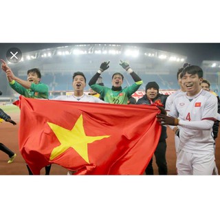 Cờ Việt Nam