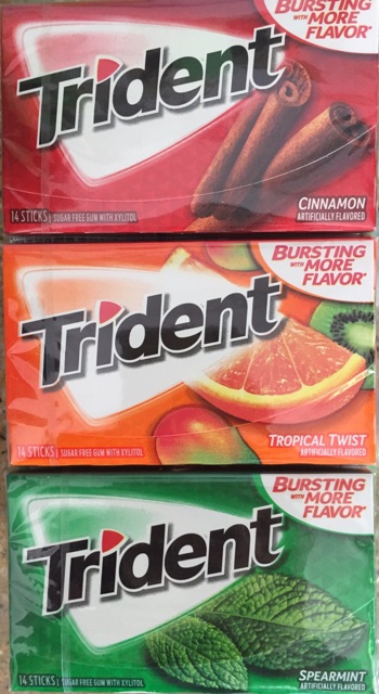 COMBO  12 THANH KẸO CHEWING GUM TRIDENT