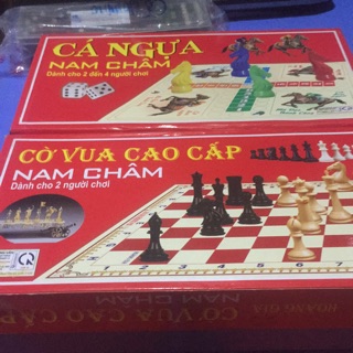 Com bộ 2 hộp cá ngựa +cờ vua nam châm