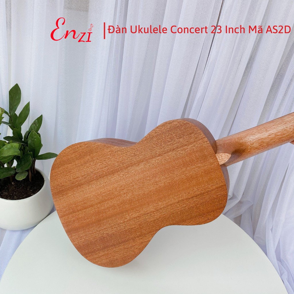 Đàn ukulele concert AS2D Enzi 23 inch gỗ mộc trơn khóa đúc giá rẻ cho bạn mới bắt đầu tập chơi