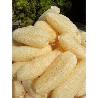 Bông Tắm Tẩy Tế Bào Chết, Xơ Mướp Rửa Chén, Sơ Mướp, Hữu Cơ Xuất Khẩu, Miếng Rửa Chén