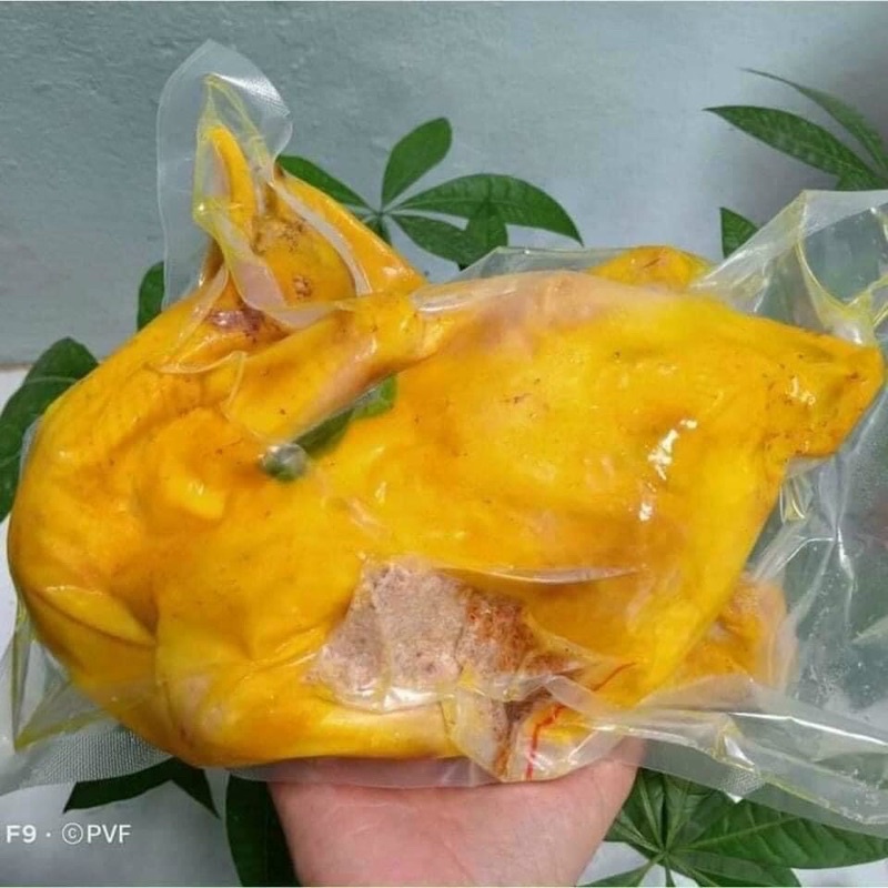 1 con GÀ Ủ MUỐI THÁI NGUYÊN (loại nguyên con)
