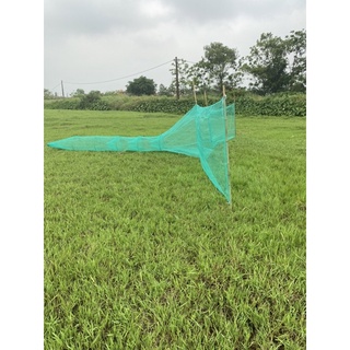 Dớn Chặn Sông Loại Đại