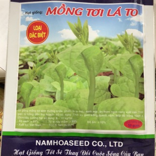 ☘ Hạt giống rau mồng tơi lá to 🌱