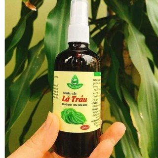 Nước cất lá Trầu Không Huyền Thoại