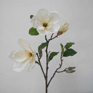 Hoa lụa mộc lan