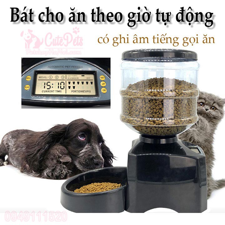 Bát ăn hẹn giờ cho chó mèo ăn tự động 5.5L Có ghi âm gọi ăn - Cutepets Phụ kiện chó mèo Pet shop Hà Nội