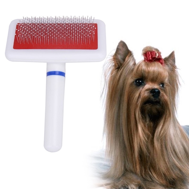 Lược chải lông cho chó mèo, pet