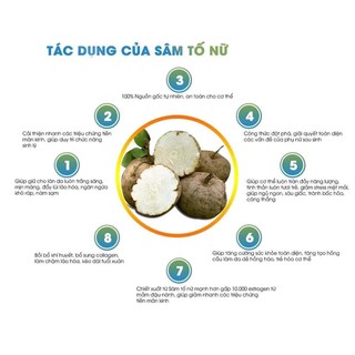 Sâm tố nữ nguyên miếng (Tăng cường nội tiết tố nữ)