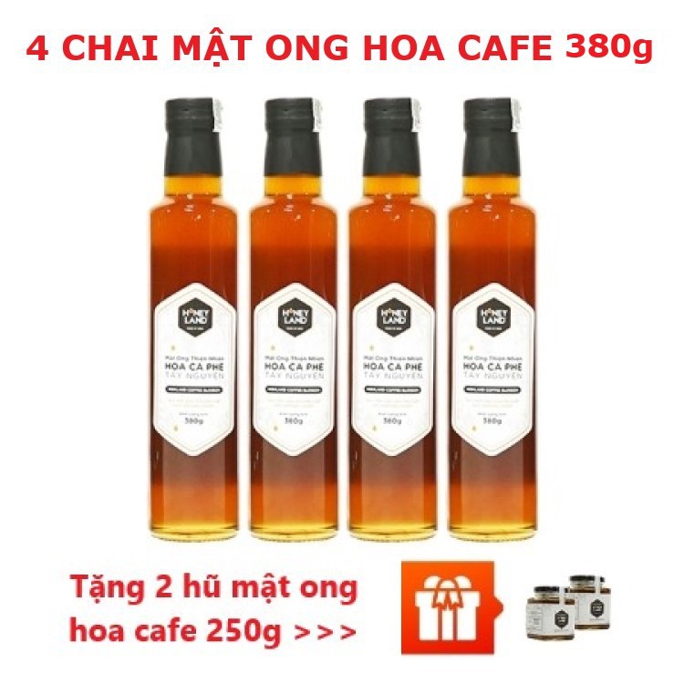 HONEYLAND - Bộ Mật Ong Hoa Cà Phê 4 chai x 380g TẶNG NGAY 2 Hũ Mật Ong Hoa Cà Phê 250g