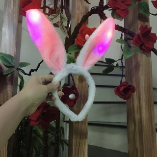 Cài tóc tai thỏ