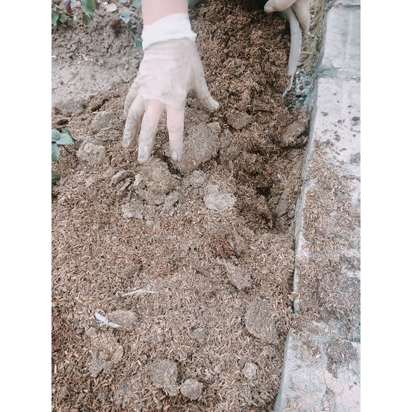 1kg phân gà/vịt trang trại đã ủ hoai